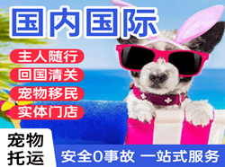 泉州晋江机场货运国际宠物托运 【国
